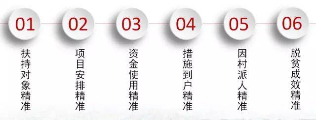 四期期准，稳定与精准的期待之道