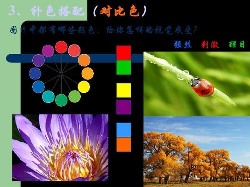 定制旅行 第172页