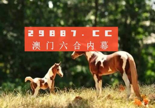探索与解析 第9页