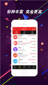 澳门天天彩期期精准龙门客栈，揭秘彩票背后的秘密