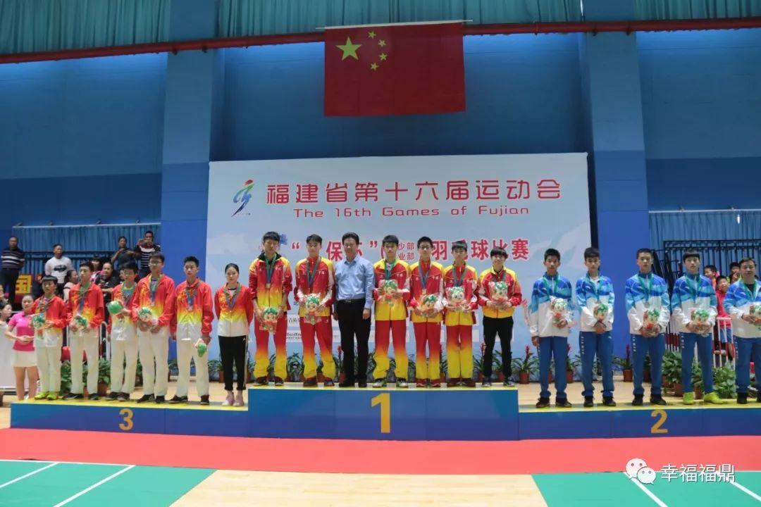 90vs足球即时比分捷报手机版，掌握赛事动态的必备神器