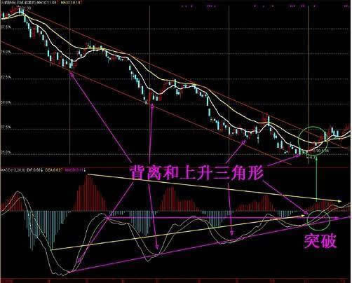 探索先进的3D十位走势图带连线专业版，应用与未来趋势