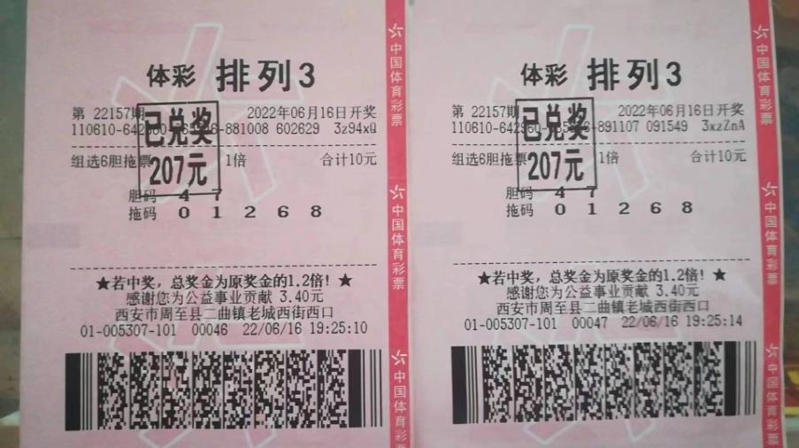 体彩网首页开奖，探索体育彩票的魅力与乐趣