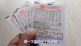 双色球第077期开奖号码解析与预测
