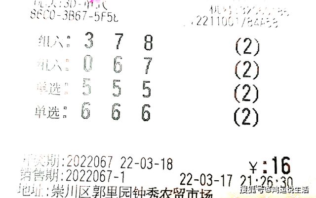 组选组六的深度解析