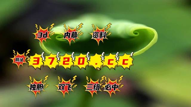 排列三走势图带连线专业版和值尾，探索数字彩票的魅力与策略