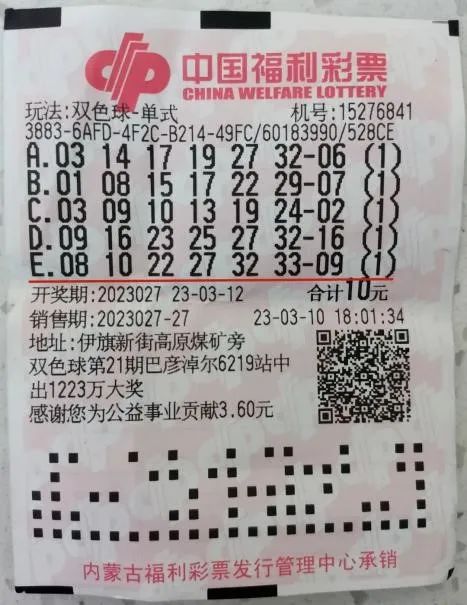 双色球机选号码投注机，现代彩票投注的新选择