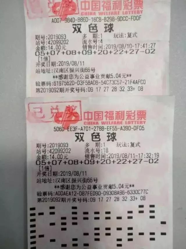 体彩近10期开奖结果查询，数据分析与彩民观察