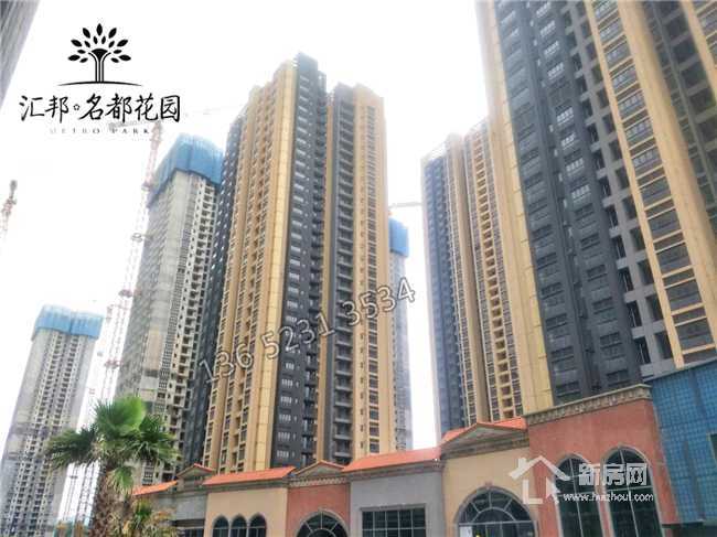 今晚必出三肖，预测与探索