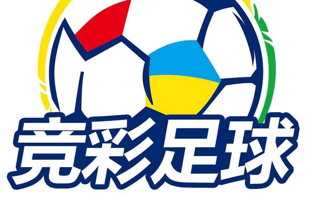 新彩网开奖结果，探索与解析
