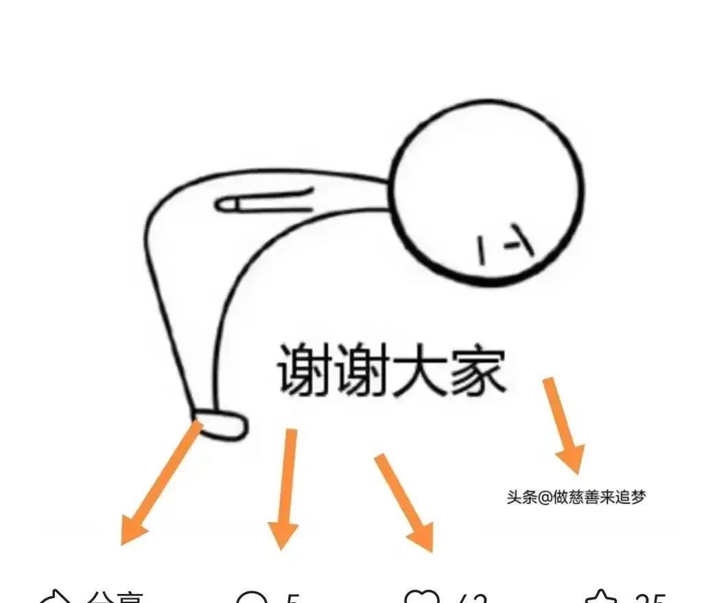 揭秘双色球开奖结果，关于2016年11月7期的开奖结果查询及分析