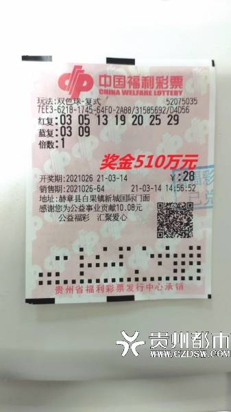 双色球2024年004期，期待与惊喜的交融