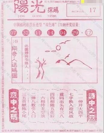 双色球2021009期阳光探码，揭秘彩票背后的故事与探索未知的可能