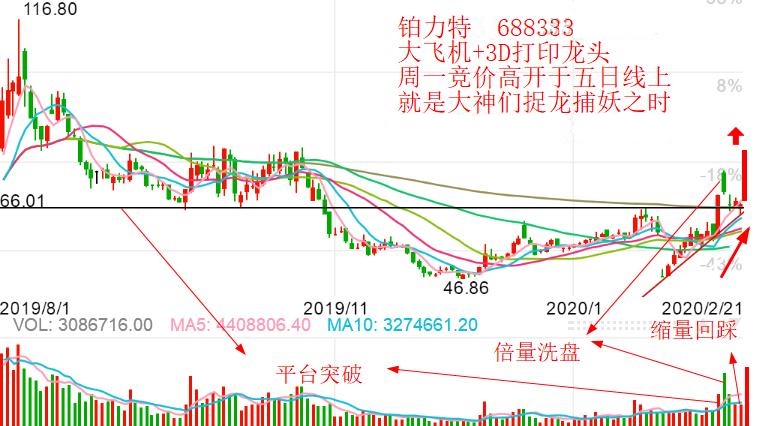 探索未来，2008年双彩网3D走势图分析