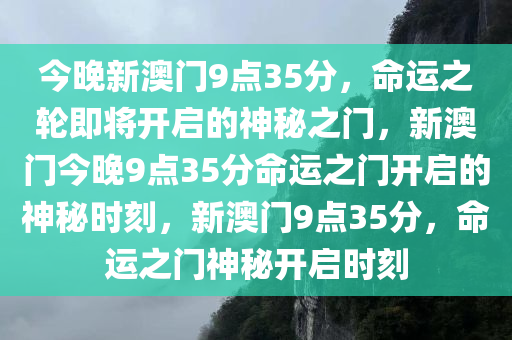 王中王管家婆的开奖结果小说，命运之轮的旋转