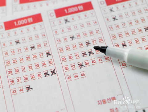 双色球万能经典24码红，揭秘彩票背后的数字奥秘