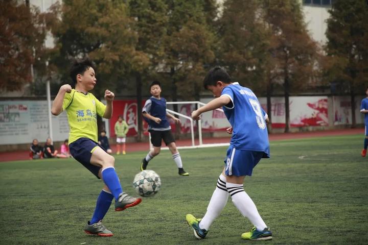 网球比分查询，掌握实时动态，洞悉赛场风云