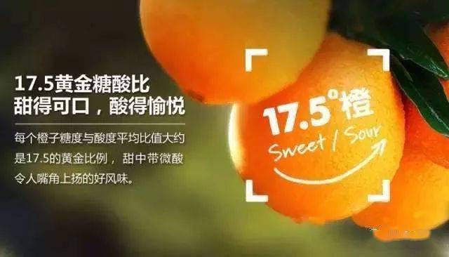 河北20选5的幸运之旅，好运3的启示