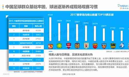 中国足球彩票统计数据深度解析