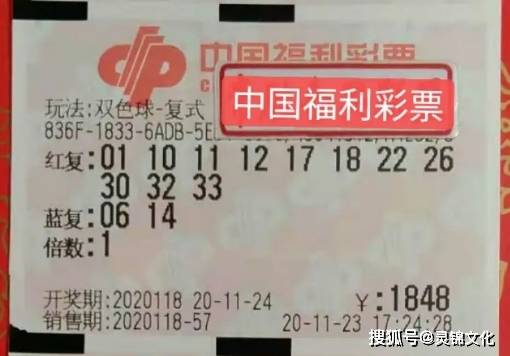 双色球五行定蓝法，揭秘彩票背后的智慧与策略