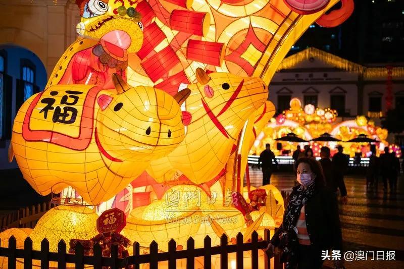 澳门金牛网金牛版，探索与发现