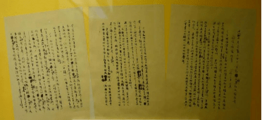辽宁与广东对决，直播在线观看的热血瞬间
