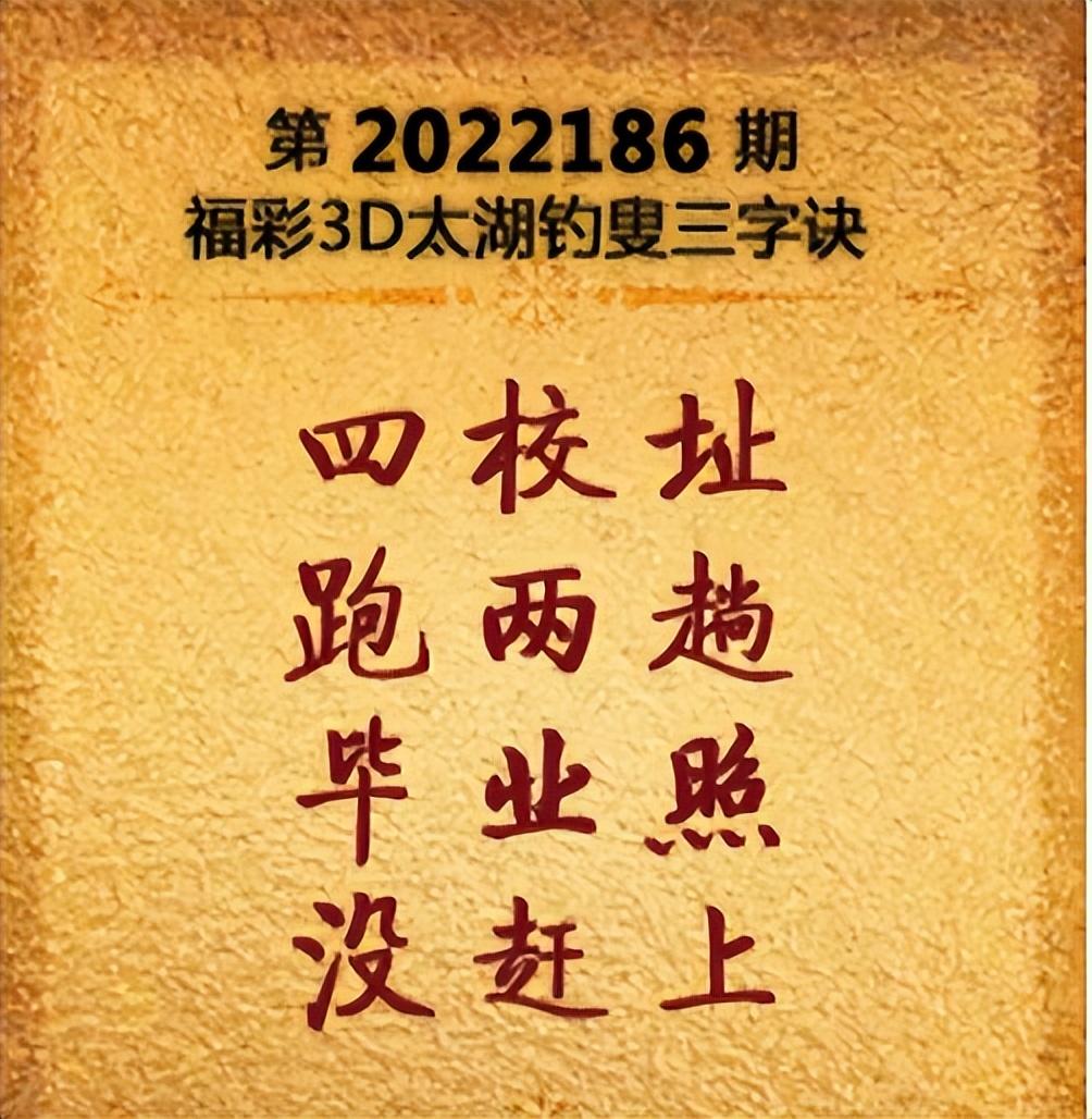探索今日3D字谜世界，字谜汇总图揭秘