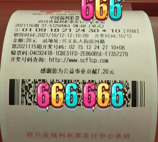 中国福利彩票双色球单式开奖结果解析