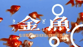 今晚必二肖，探寻幸运与命运之谜今晚必二肖2019