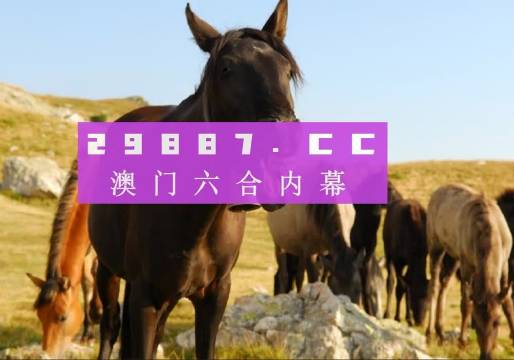 澳门管家婆一肖一码一中一特的神秘面纱澳门管家婆资枓大全2020