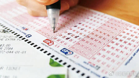 六给彩开奖结果纪录，探索数字背后的故事澳门六给彩开奖结果纪录