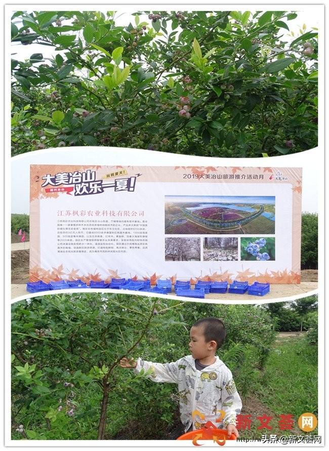 六合天下心水论坛，探索与发现的精神家园6合天下彩