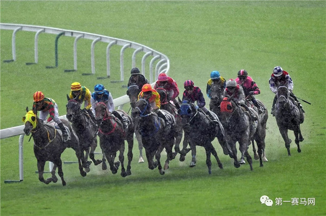 香港马会开奖结果直播，赛马运动的魅力与实时信息的力量