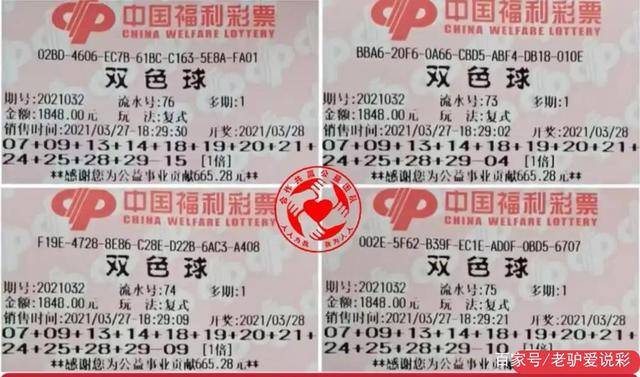 澳门六开奖结果资料查询最新2023，探索彩票世界的奥秘与机遇2025年澳门今晚开奖号码