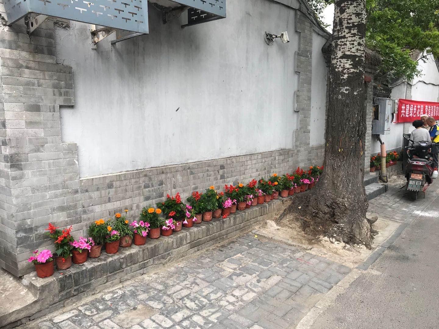 马会资料大全，免费资料深度解析2020年马会资料精选免费大全