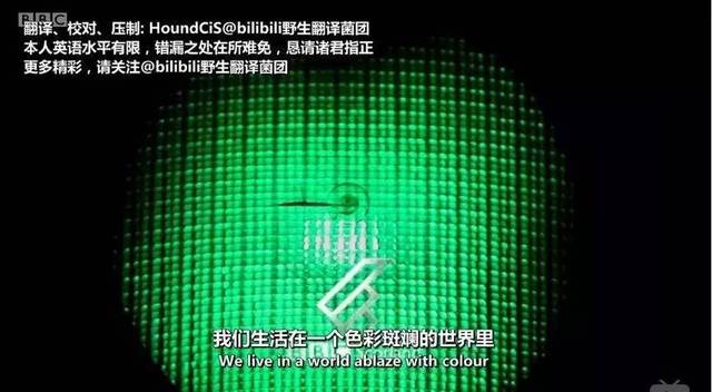 揭秘三D开机号与家彩网的奥秘3d开机号今天家彩网