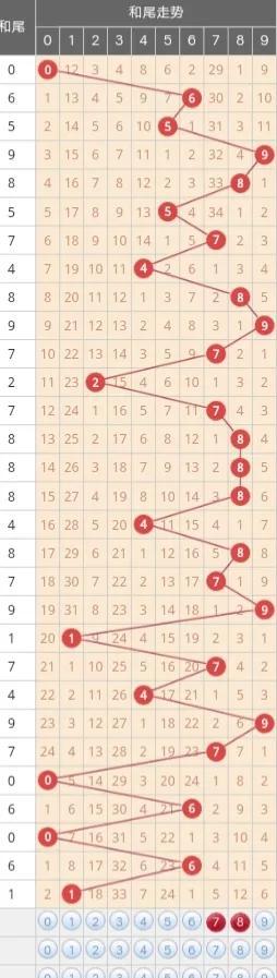 排三专业版带线走势图，解读与应用排三专业版(带线走势图)