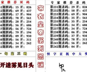福彩3D字谜试机号关注码金码，揭秘彩票背后的秘密福彩3d试机号关注号金码大全牛彩网
