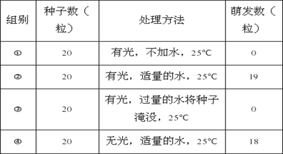大乐透下期号码预测，探索随机性与预测之间的微妙平衡大乐透下期出什么号码了