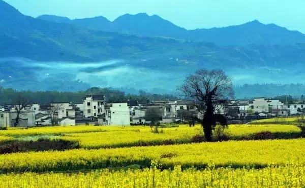 定制旅行 第4页