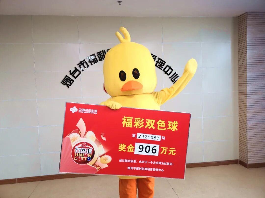 双色球杀红号，探索策略与投注之道双色球杀红号2元多少钱