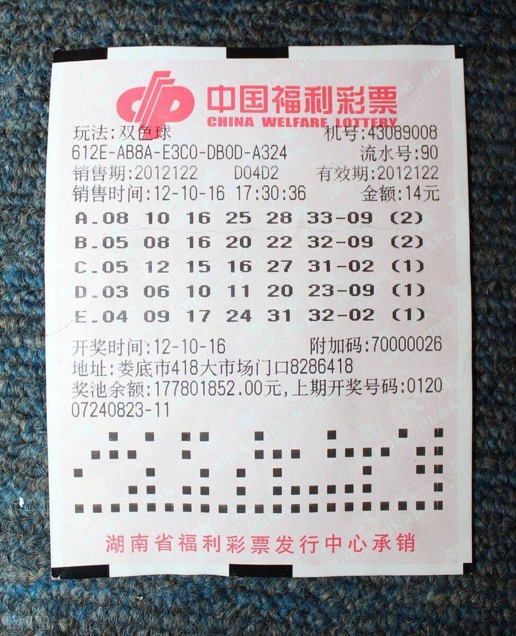 彩票查询双色球第100期，揭秘开奖秘密与彩民心态福彩双色球100期