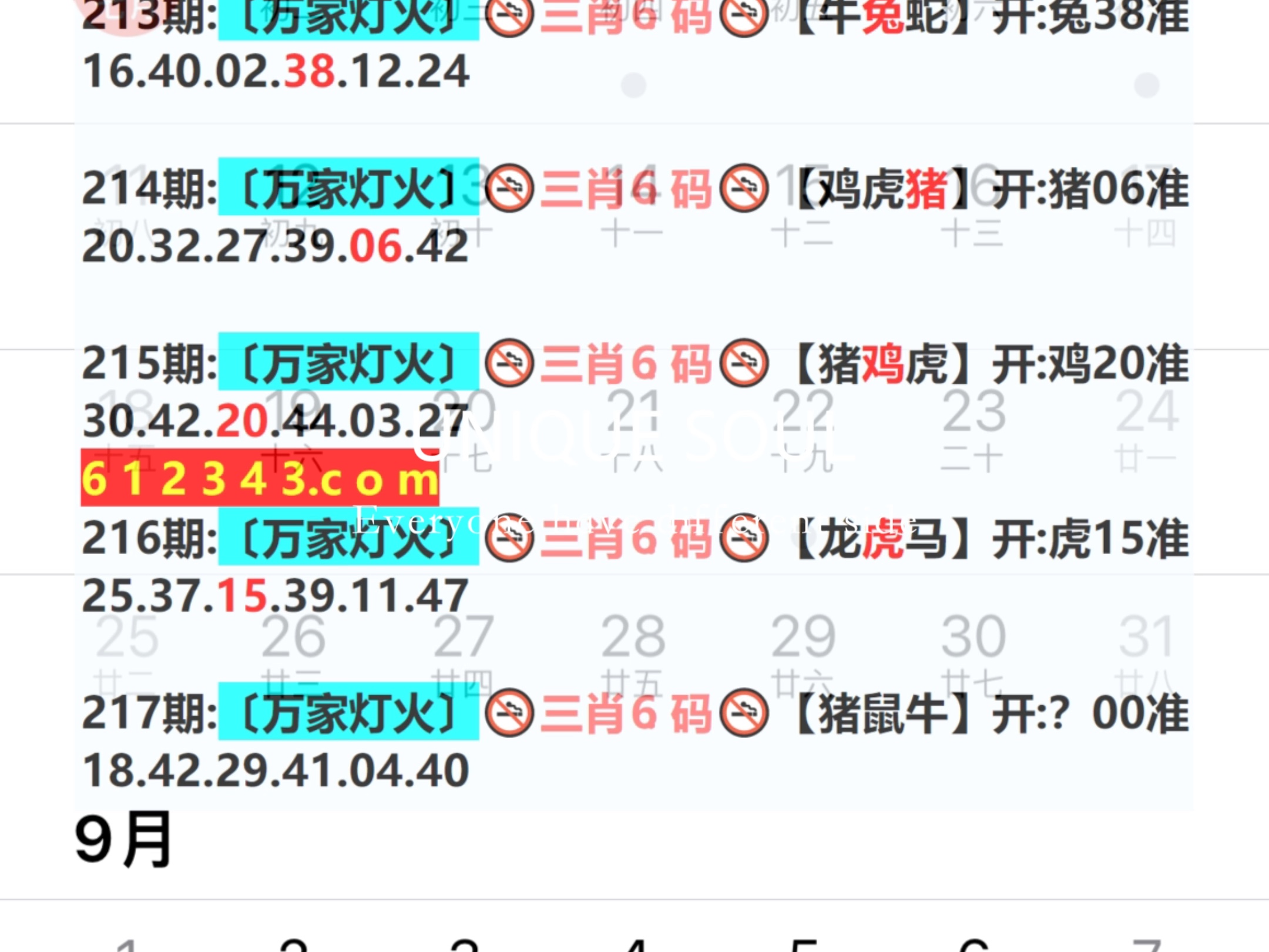 新奥门311期最新消息查询结果解读新奥门311期最新消息查询结果是什么意思呀
