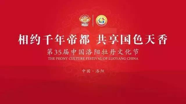 揭秘新澳门314期两肖中奖秘诀，深度解析与视频指导澳门134期