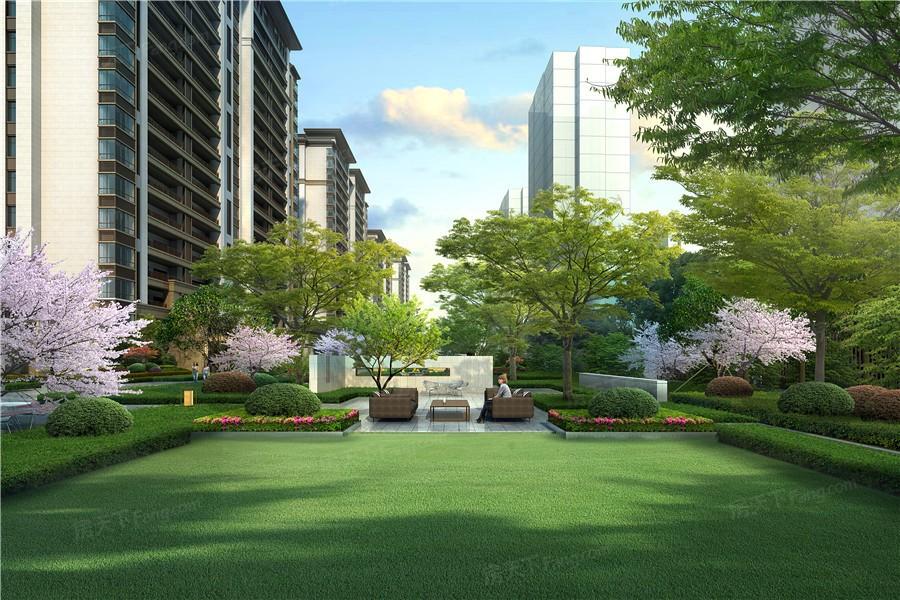 澳门新开奖结果深度解析，第319期的奥秘与影响澳门311开奖记录